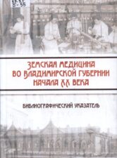земская медицина во Владимирской губернии начала XX века