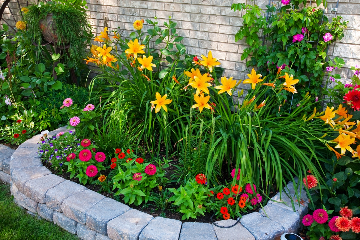 colorful-flower-bed