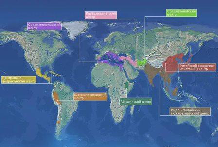 карта мира с обозначением центорв происхождения культурных растений