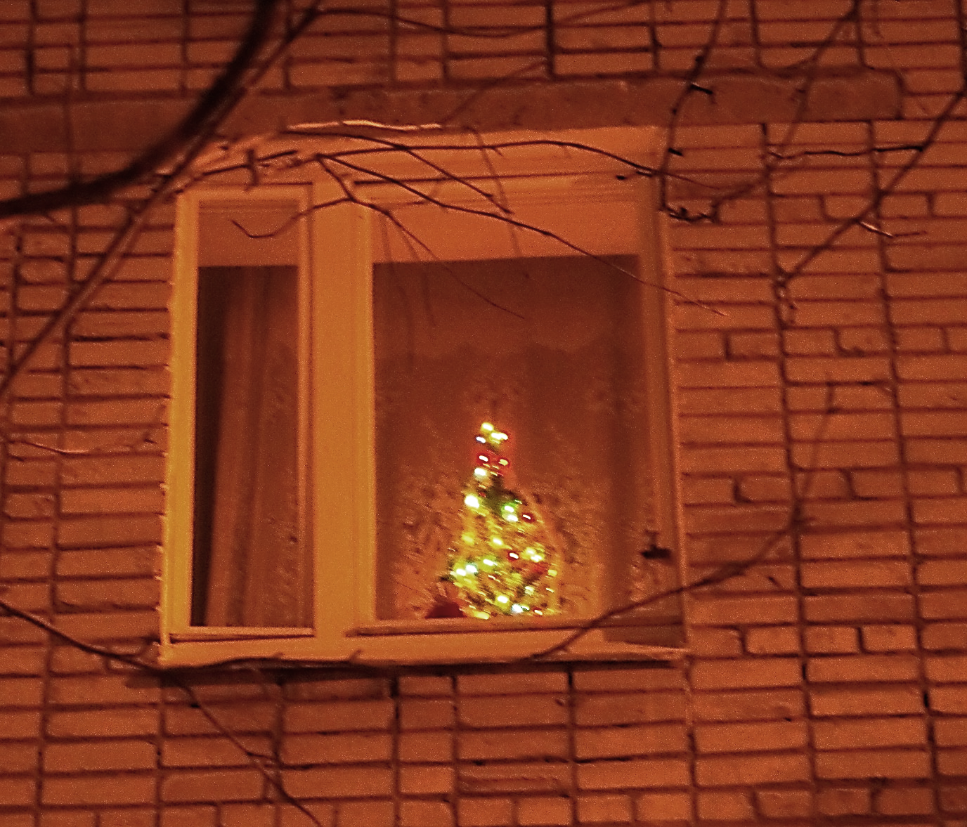 Рождественский календарь 20180101. фото окно с новогодней елкой