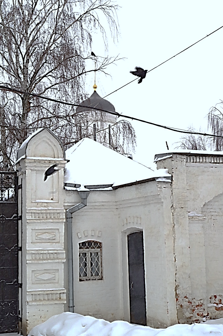 Рождественский календарь 20171206. фото у входа в Княгинин монастырь, птицы