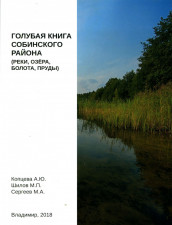 Голубая книга Собинского района