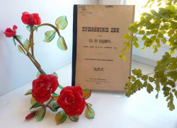 Книга о Пушкине на окне с цветами.