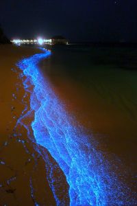 Фотография светящихся берегов Мальдив