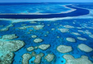 Фотография Большого Барьерного рифа