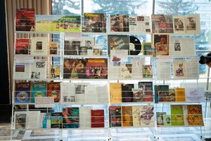 Выставка книг, посвященных цыганской культуре