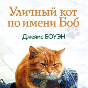 Обложка книги "Уличный кот по имени Боб"
