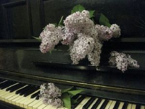 изображение ветки сирени на клавишах рояля