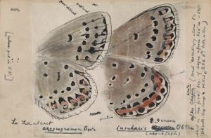 Рисунок крыльев бабочек известного писателя