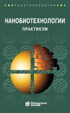 Обложка книги - Нанобиотехнологии. А. М. Абатурова, Д. В. Багров, А. А. Байжуманов, А. П. Бонарцев