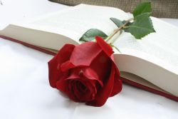 Книга и роза