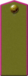 Полевые погоны пехотинца. Защитный цвет, окантовка. 1943 г.