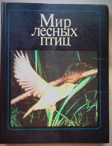 птица в камышах