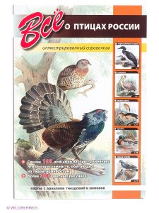 птицы на дереве