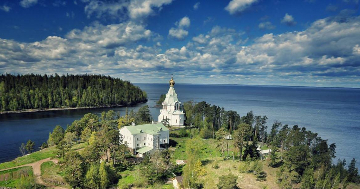 Лес острова Валаам