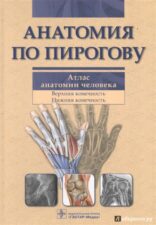 Книга Анатомия по Пирогову 1