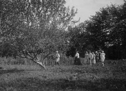 Лев Николаевич Толстой на прогулке по яблоневому саду со своими родными