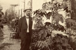 Антон Павлович Чехов в своём саду