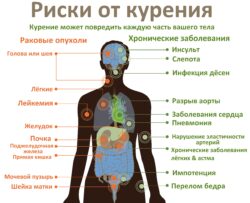 Риски развития заболеваний органов человека при курении