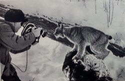 На съемках фильма "Тропой бескорыстной любви"