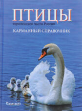 Птицы европейской части России. Книга.