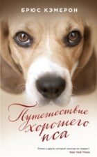 Четвероногие друзья