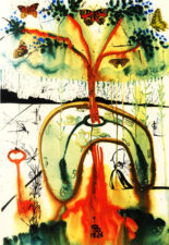 Иллюстрация Сальварода Дали к книге "Алиса в стране чудес"