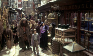 Гарри Поттер и великан Хагрид в Косом переулке