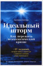 Сигитова Екатерина. Идеальный шторм_обложка книги_ЭБС Библиороссика