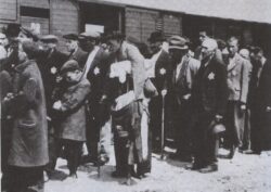 Венгерские евреи, доставленные в Освенцим - Бжезинку. Май 1944. Архивная фотография