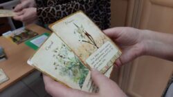 Карточки к книге Т.Зиновьевич-Евстигнеевой «Хранительницы сада».