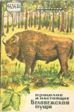Прошлое и настоящее Беловежской пущи. Книга