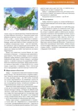 Страница 109 из книги