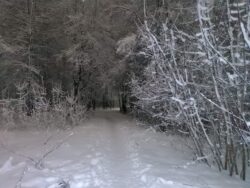 Зима. Фото 3