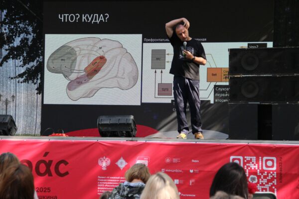 Паевский Лекция мозг и музыка