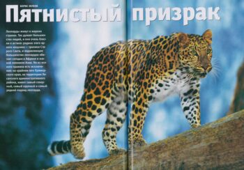 Пятнистый призрак. Статья