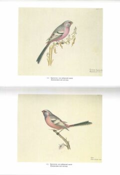 Разворот книги 5