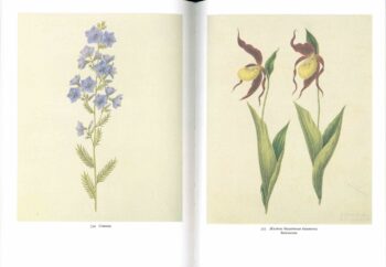 Разворот книги 8