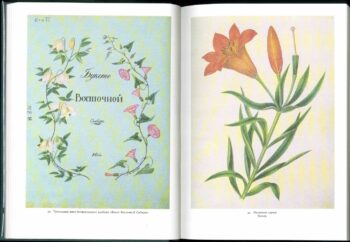 Разворот книги 1