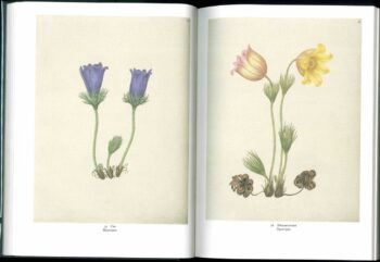 Разворот книги 2