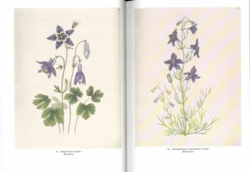 Разворот книги 3