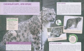 Красная книга России. Иллюстрация 4.