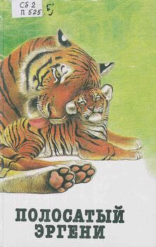 Полосатый Эргени. Книга