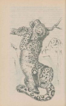 Полосатый Эргени . Книга. Иллюстрация 2