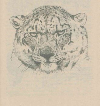 Полосатый Эргени. Книга. Иллюстрация 1