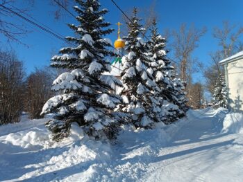 Зимний пейзаж 1. Фото