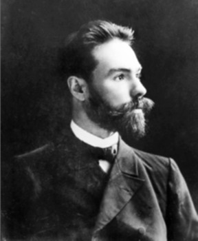 Брюсов В. Я.