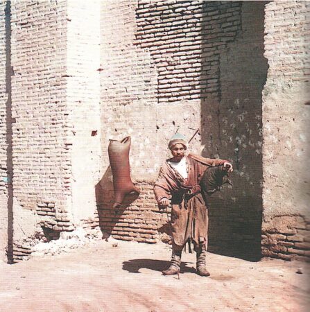 викторина тропой прокудина-горского