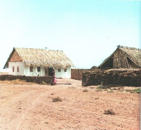 викторина тропой прокудина-горского
