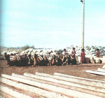 викторина тропой прокудина-горского